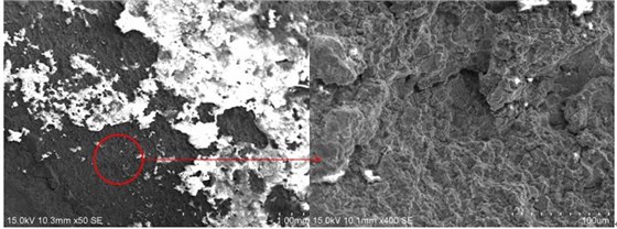 圖2 斷口源區宏、微觀形貌，沿晶特征+二次裂紋