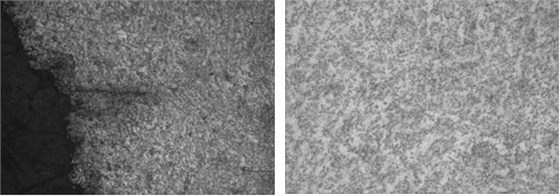 圖16-44 法蘭邊緣裂紋形貌 100&times; 圖16-45 線材退火組織 500&times;