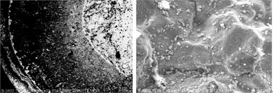 斷面掃描微觀形貌形貌 氧化圓弧區微觀形貌形貌