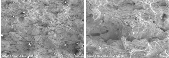 圖9-13 瞬斷區低倍形貌 圖9-14 瞬斷區高倍韌窩形貌