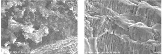 圖 9-25 疲勞源區電鏡形貌圖9-26 疲勞擴展區疲勞條帶
