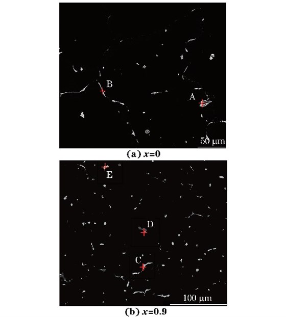 圖３ 鑄態MgＧ５ZnＧ１MnＧxSn合金的背散射電子像