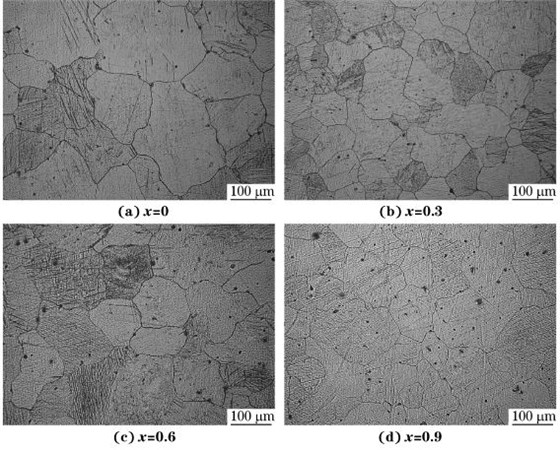 圖４ 均勻化處理態MgＧ５ZnＧ１MnＧxSn合金的顯微組織