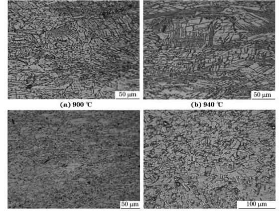 圖５ 在不同溫度、應(yīng)變速率為０．０１０s－１下壓縮至應(yīng)變量為７０％后GH４１６９合金的顯微組織