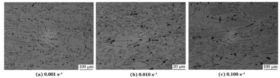 圖６ 在９８０ ℃、不同應(yīng)變速率下壓縮至應(yīng)變量為７０％后GH４１６９合金的顯微組織