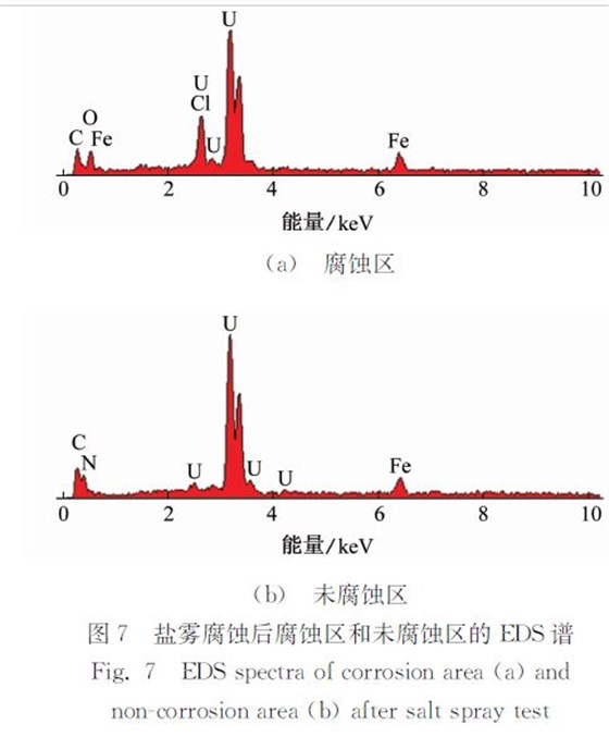 圖７ 鹽霧腐蝕后腐蝕區和未腐蝕區的ＥＤＳ譜