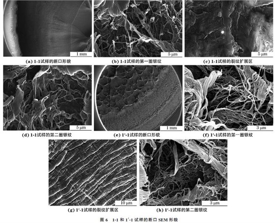 圖６ １Ｇ１和１&prime;Ｇ１試樣的斷口SEM 形貌