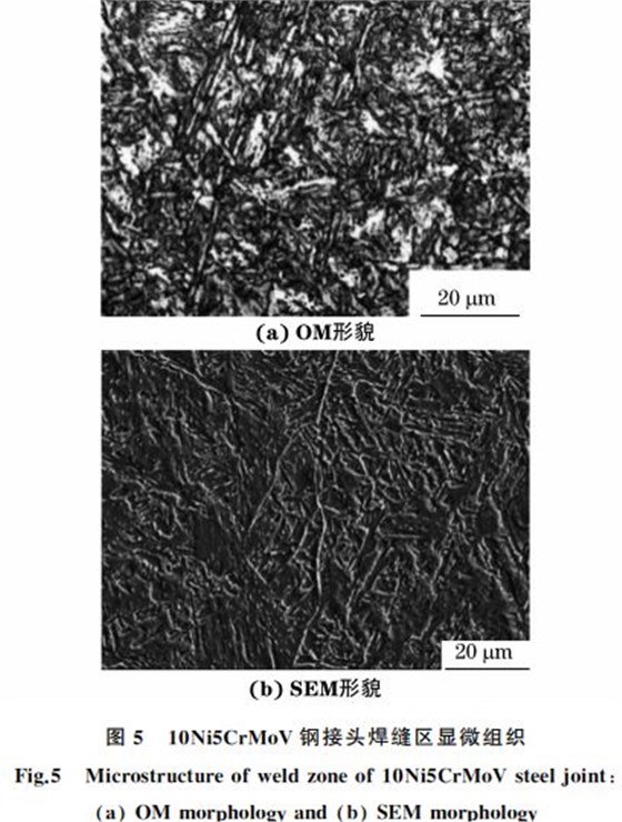 圖５ １０Ni５CrMoV鋼接頭焊縫區顯微組織