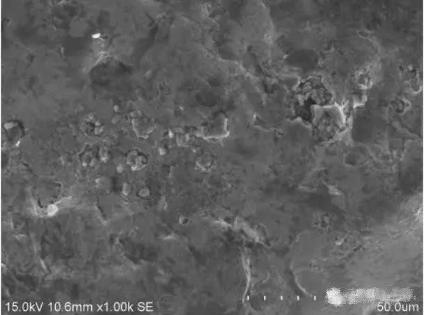 圖7 斷面A1區形貌