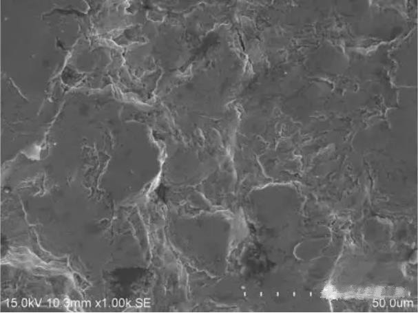 圖8 斷面A2區形貌