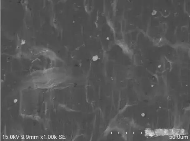 圖10 斷面B1區形貌