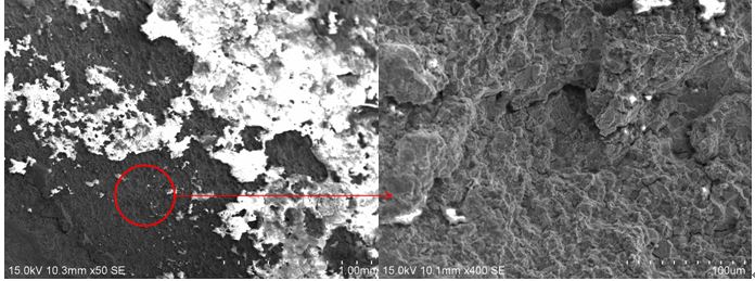 圖2 斷口源區(qū)宏、微觀形貌，沿晶特征+二次裂紋