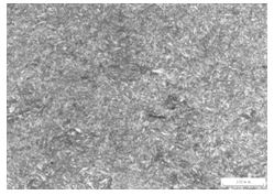 30CrMnSiA螺栓調質后的金相組織