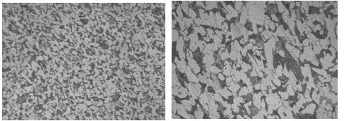 25鋼原材料正火態金相組織