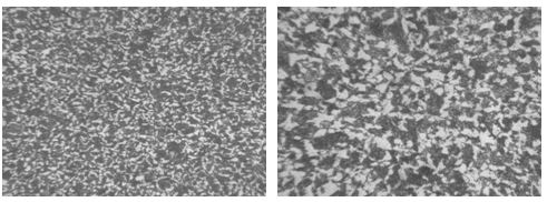 45鋼原材料正火態金相組織
