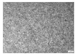 30CrMnSi自鎖螺母調質金相組織 100&times;