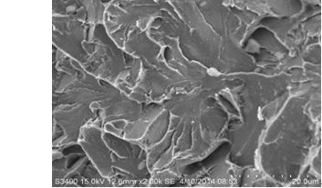 圖11-122 斷面G區的準解理斷裂形貌
