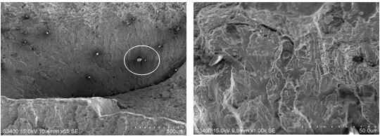 圖14-5 B區微觀形貌 圖14-6 B區微觀放大形貌