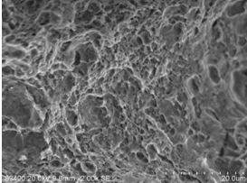 圖13-75 扭斷區韌窩形貌