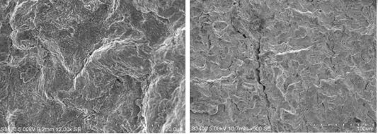 圖11-34 擴展區的準解理 圖11-35 擴展區二次裂紋