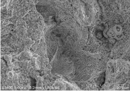 圖11-36 瞬斷區韌窩形貌