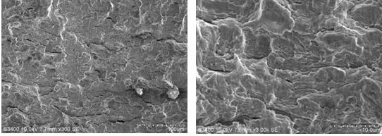 圖11-53 擴展區疲勞條帶 圖11-54疲勞條帶放大像