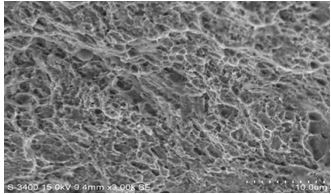 圖13-99B區斷面微觀形貌