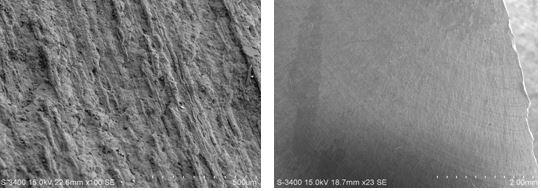圖11-167 B區微觀形貌 圖11-168 C區電鏡低倍形貌