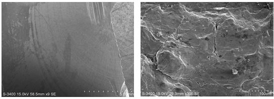 圖11-169 D區電鏡低倍形貌 圖11-170 E區電鏡形貌