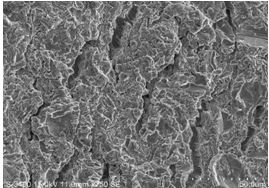 圖11-145 斷面C區微觀形貌