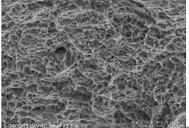 圖11-135 瞬斷區韌窩形貌