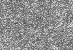 圖5-2 40CrNiMoA合金螺栓調質金相組織400&times;