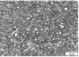 圖5-11 Cr17Ni2螺栓調質金相組織