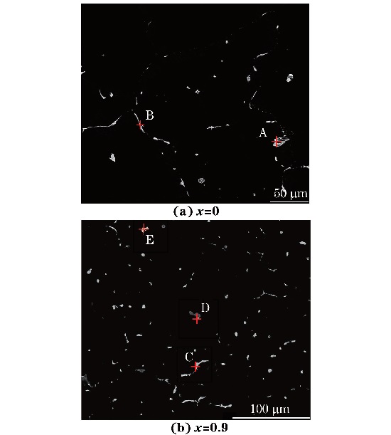 圖３ 鑄態MgＧ５ZnＧ１MnＧxSn合金的背散射電子像