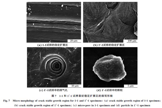 圖７ １Ｇ１和１&prime;Ｇ１試樣裂紋穩定擴展區的微觀形貌