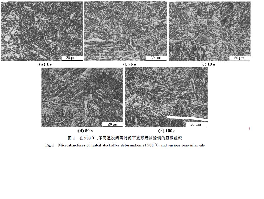 圖１ 在９００ ℃、不同道次間隔時間下變形后試驗鋼的顯微組織