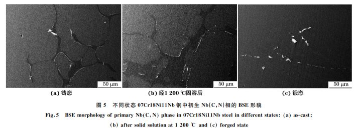 圖5 不同狀態07Cr18Ni11Nb鋼中初生 Nb(C，N)相的 BSE形貌