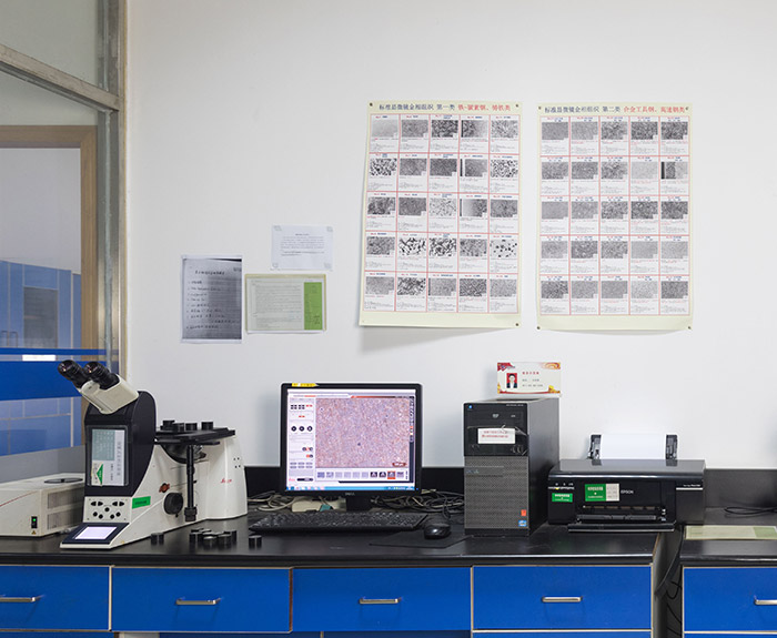 金相分析-晶間腐蝕試驗 金相分析-晶間腐蝕試驗